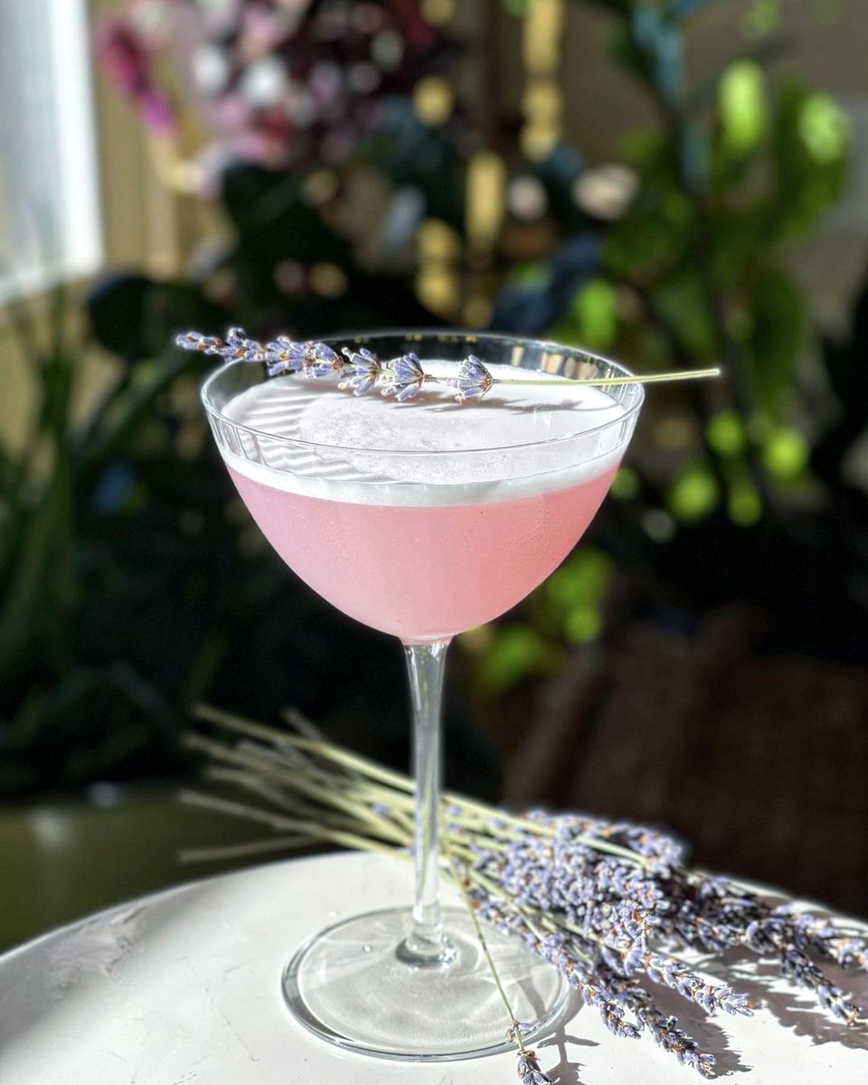 UncleVals's tweet photo. Blueberry Lavender Sour

Find the full recipe on our IG.

📸 and recipe courtesy of IG @gingerginandtonic.

#unclevals #americangin #botanical #lavender https://t.co/zPm1bTIB2W
