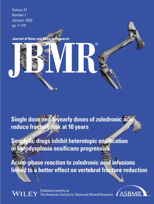 A new #JBMR study demonstrates that improving chaperone function reduced #ERstress and improved bone parameters in one mouse model of #OsteogenesisImperfecta, and suggests this strategy could be effective in patients with OI #ASBMR <a href="/dgsomucla/">David Geffen School of Medicine at UCLA</a> <a href="/jenzieba/">Jennifer Zieba</a>