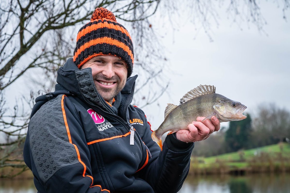 TackleGuru's tweet photo. 🎣🐟 PERCH PERFECTION 🐟🎣 LIVE NOW on the TackleGuruTV YouTube Channel is the latest addition to the Gurus On The Bank series! Gurus Brand Manager Adam Rooney goes in depth into how exactly he goes about targeting the large resident Perch of Makins Fishery in Warwickshire🔥 https://t.co/COs6cr27U4