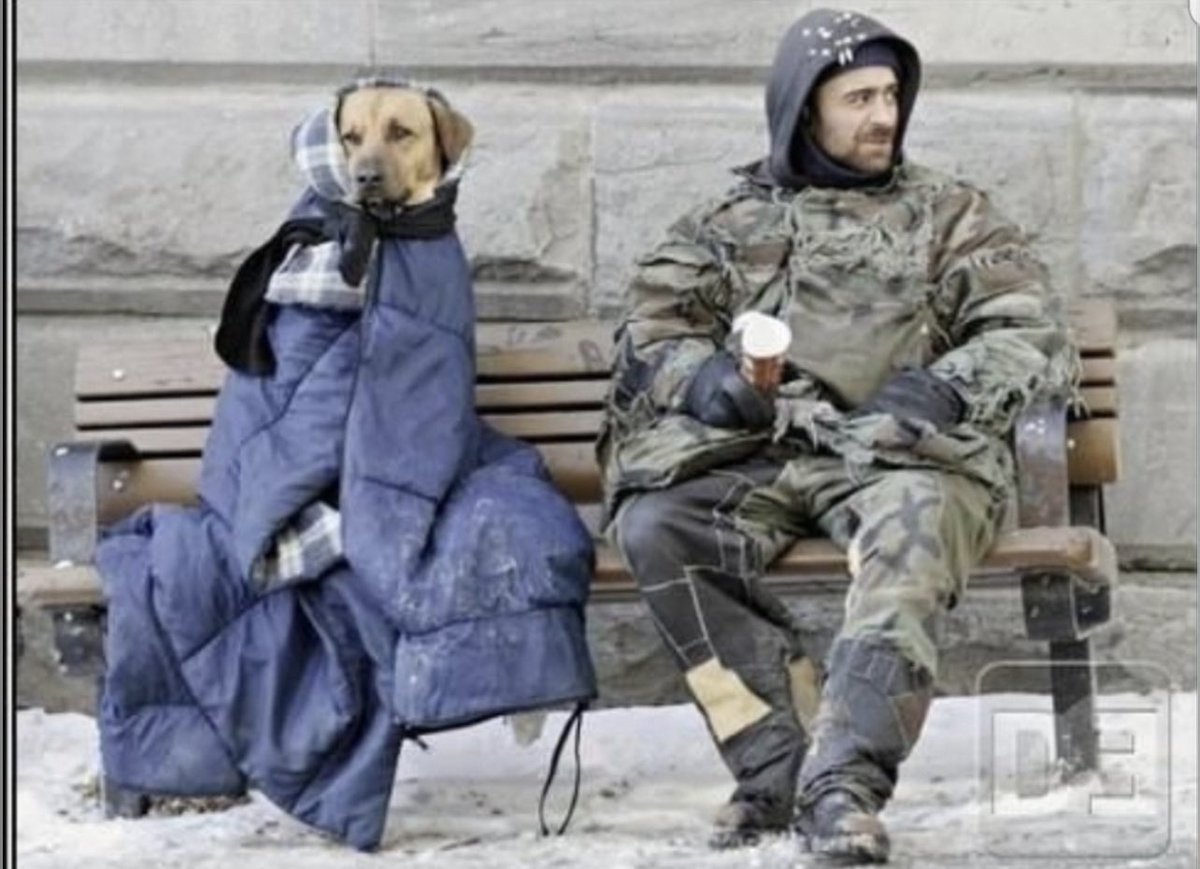 Rondo1062's tweet photo. Me and my dog waiting for Caesar’s to answer after they suspended my account after I won 12k on rams to nfc worst Sports-book #CaesarsSportsbook https://t.co/sj9upUSInN