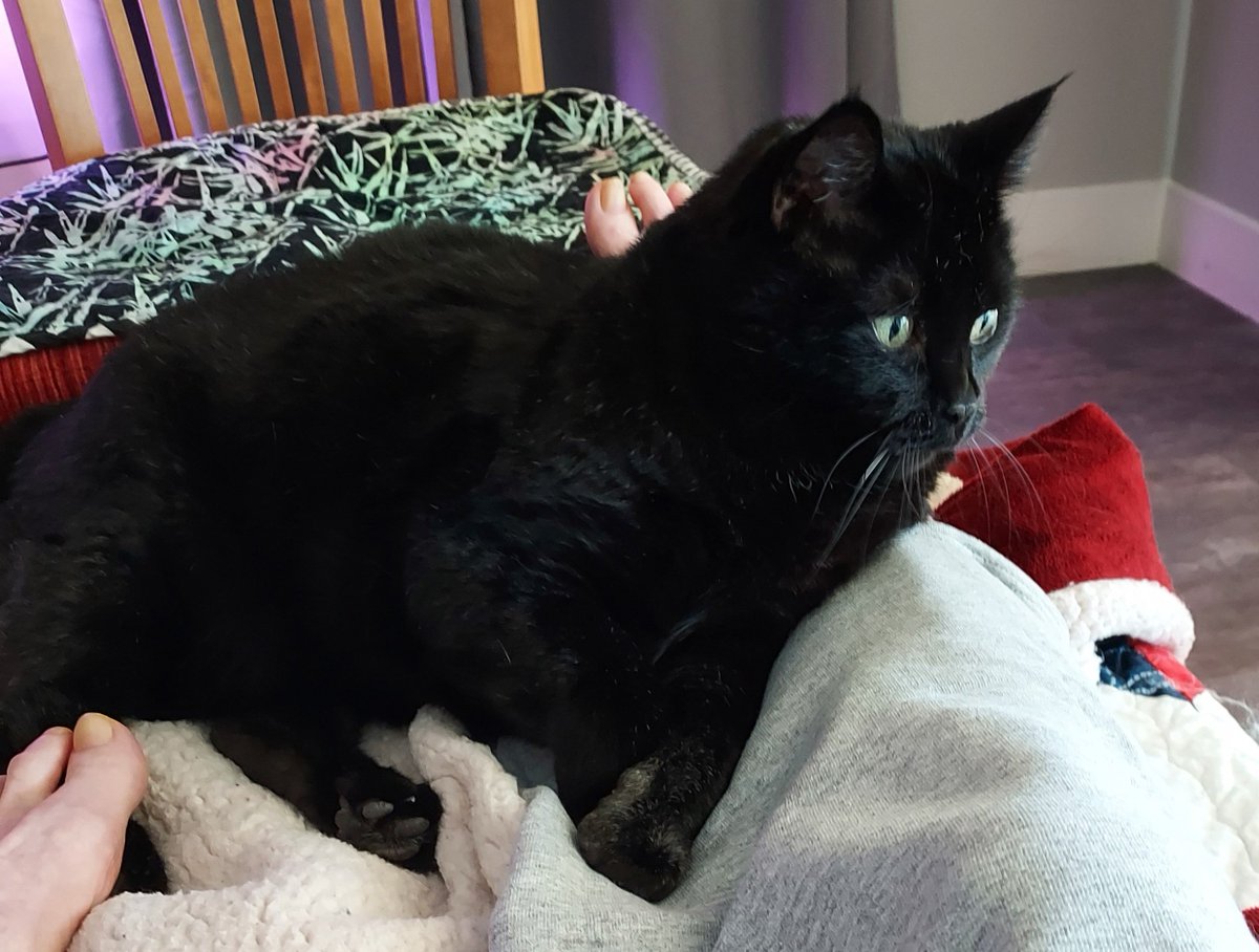 IPoppit's tweet image. Capt B is no help to me doing leg exercises.