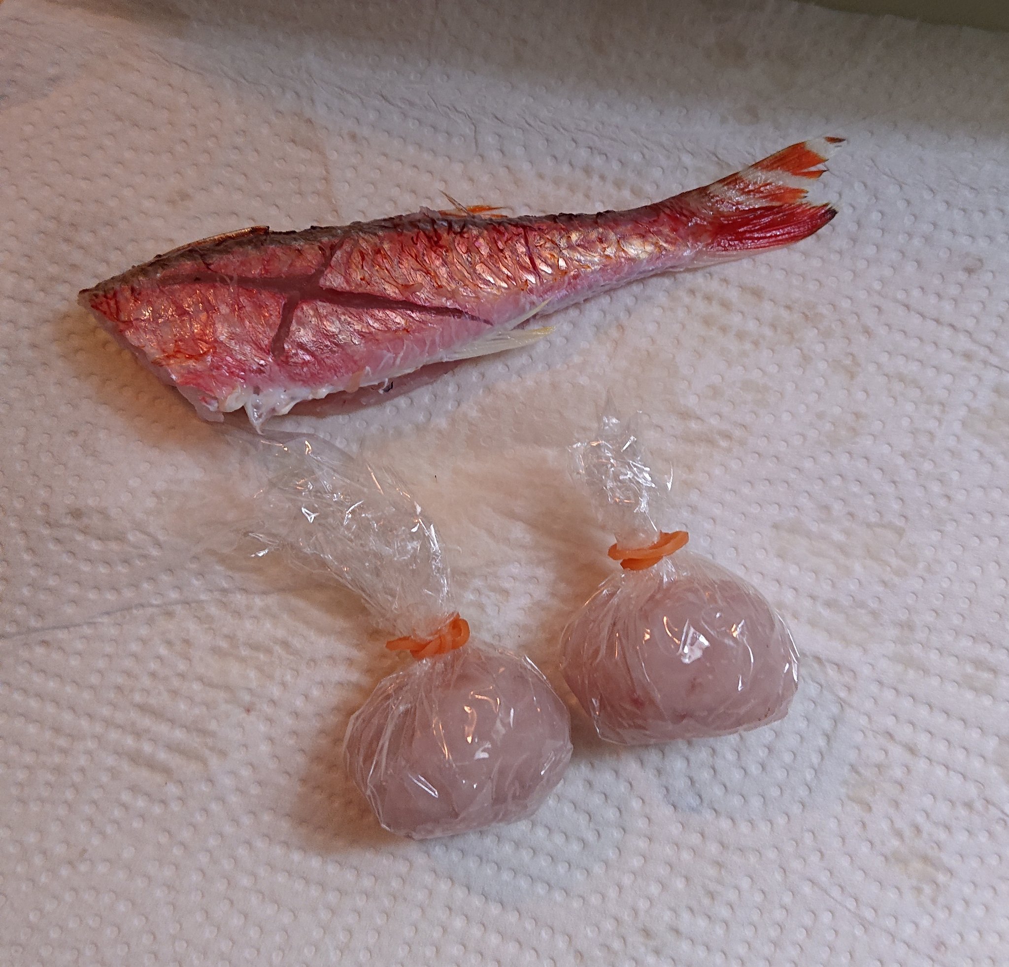 تويتر ぬー ๑ على تويتر 船長に貰った赤い魚の塩焼き用 船長に貰ったesoのミニ団子 鬼カサゴ刺身用 アマダイの皮 松笠揚げ用 鬼カサゴの胃袋と肝 T Co Cs63iyrdb9