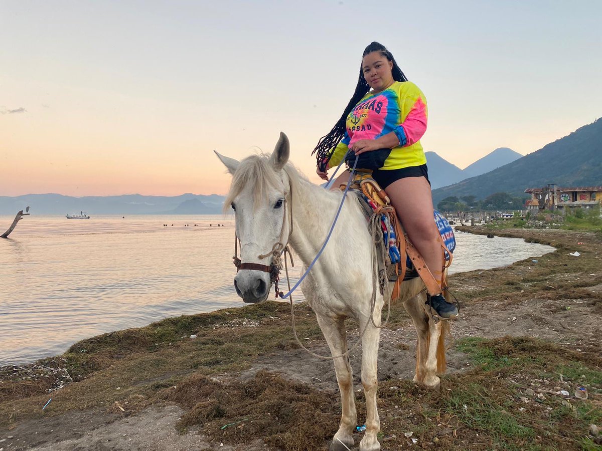 STEAM Abroad Inc tweet media