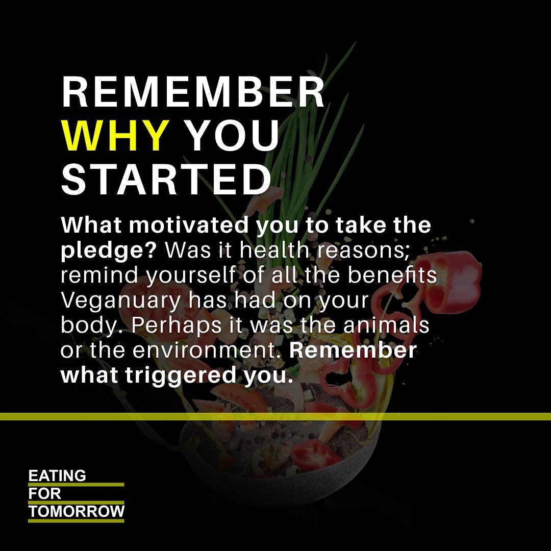 First of all, a big round of applause to everyone that took part in #Veganuary this year! You’ve not only helped your body, but you have also helped the animals and the environment this month.

So why stop here? Continue your plant-based journey beyond Veganuary.

#Veganuary2022