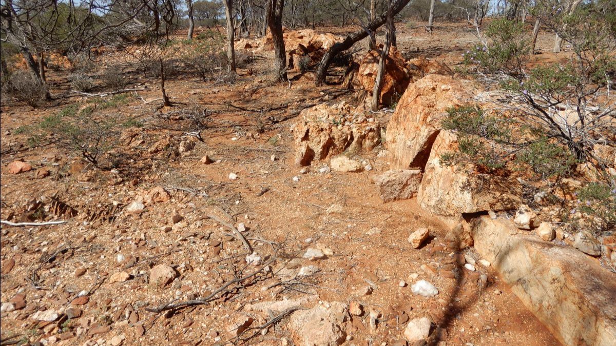 ASX_Empire's tweet photo. Extensive Copper &amp; Nickel Soil Anomalism at Nanadie - https://t.co/0xBtXtLA7P https://t.co/riC96YJzfc