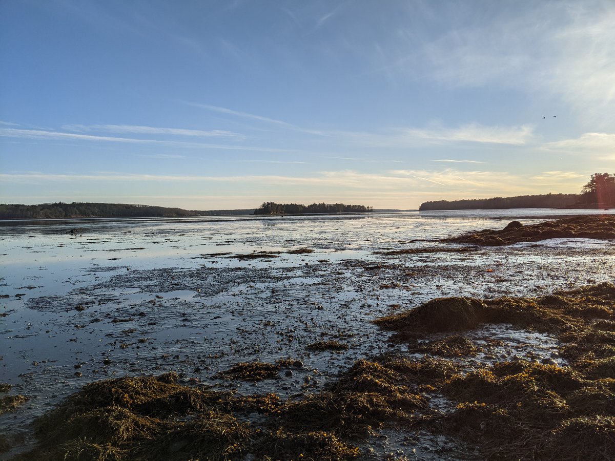 Scot McFarlane tweet media