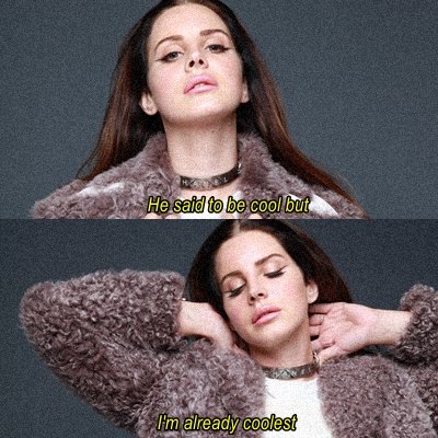 lana del rey / national anthem