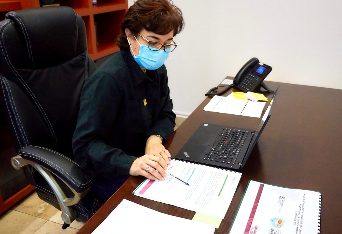 Realizamos la ceremonia de clausura del Comité Municipal de Protección a la Tortuga Marina del Municipio de Cozumel temporada 2021, hubo un registro total de cinco mil 302 nidos de tortuga de las especies blanca (Chelonia mydas) y caguama (Caretta caretta).