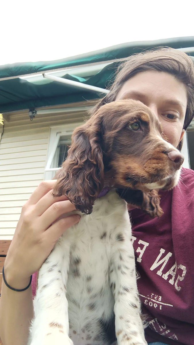 moddisms's tweet photo. The dog who has been my ffriend and carer for ten years, the dog who has been for five days. https://t.co/DNAccGcGBj