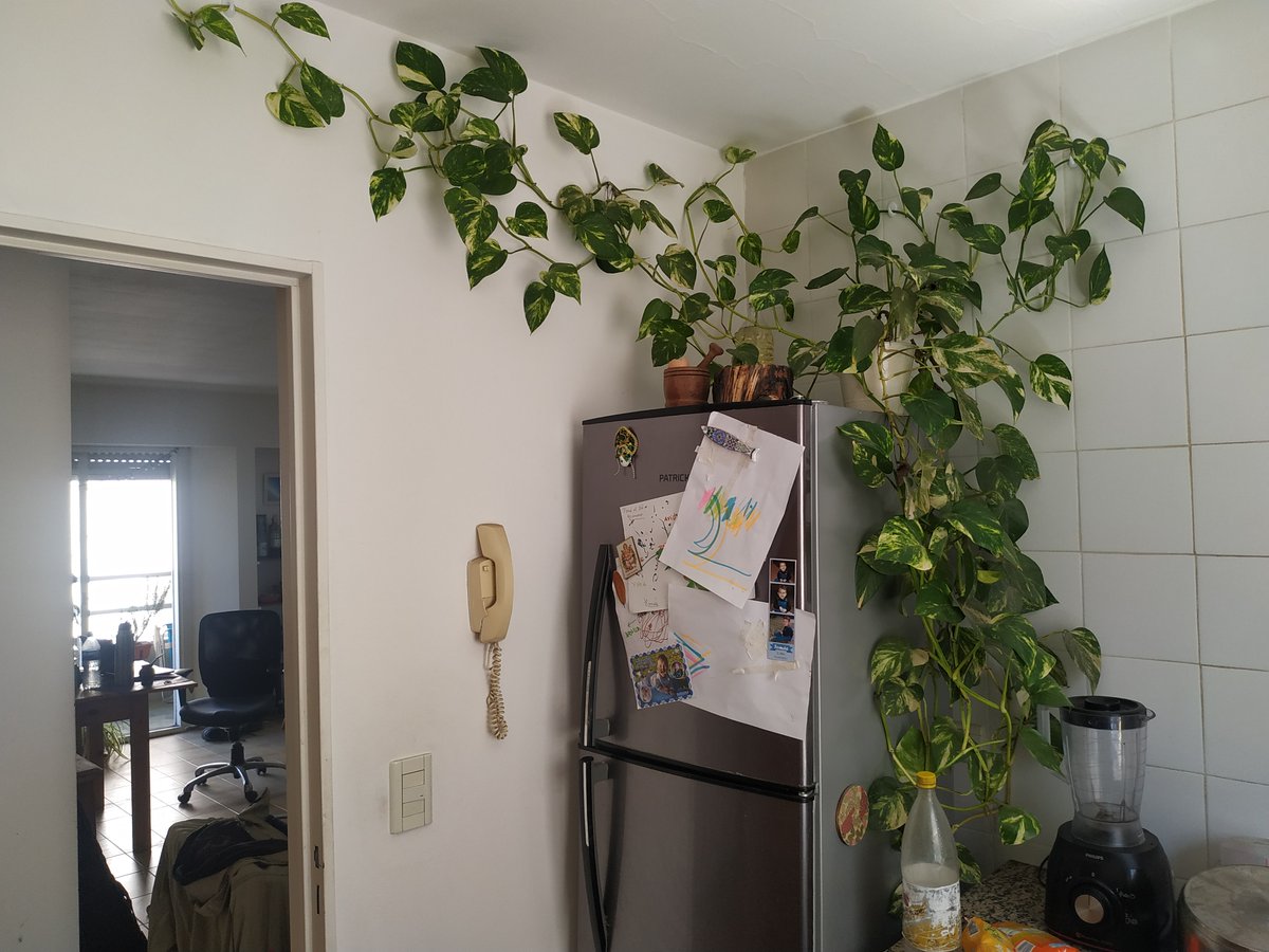 Mariano Botta tweet media