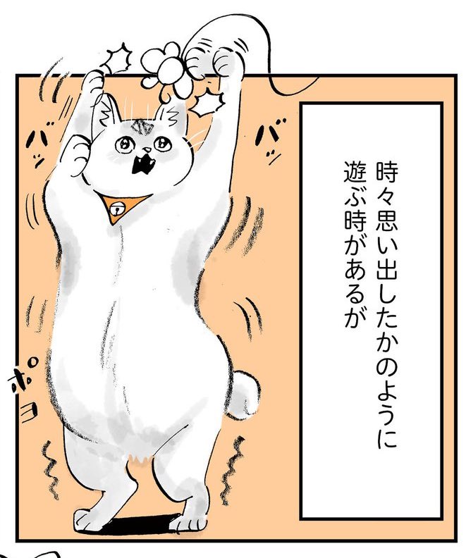 時々思い出したかのように遊ぶフミちゃん③ https://t.co/1l1qrQWcPp 