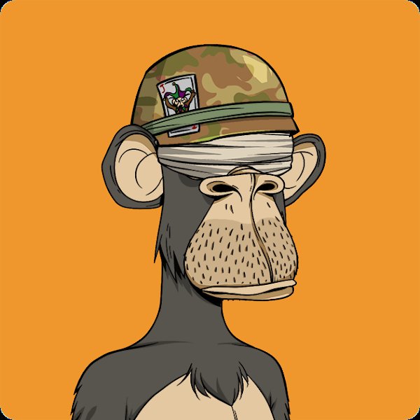 circaeth's tweet photo. @TimpersHD @AsherahEth @ChimpersNFT Yo chimp me up fam! https://t.co/QACxet58IM