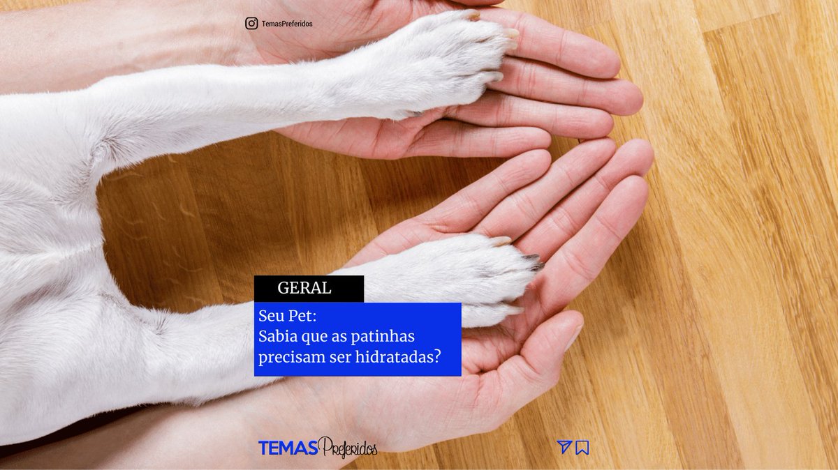 temaspreferidos's tweet photo. Novidade no mercado é produto com ingredientes naturais para hidratar as patinhas do seu pet: https://t.co/ruO0SOm7xI #petlover #pet #amomeupet #temaspreferidos https://t.co/yrJQ4qPNvs