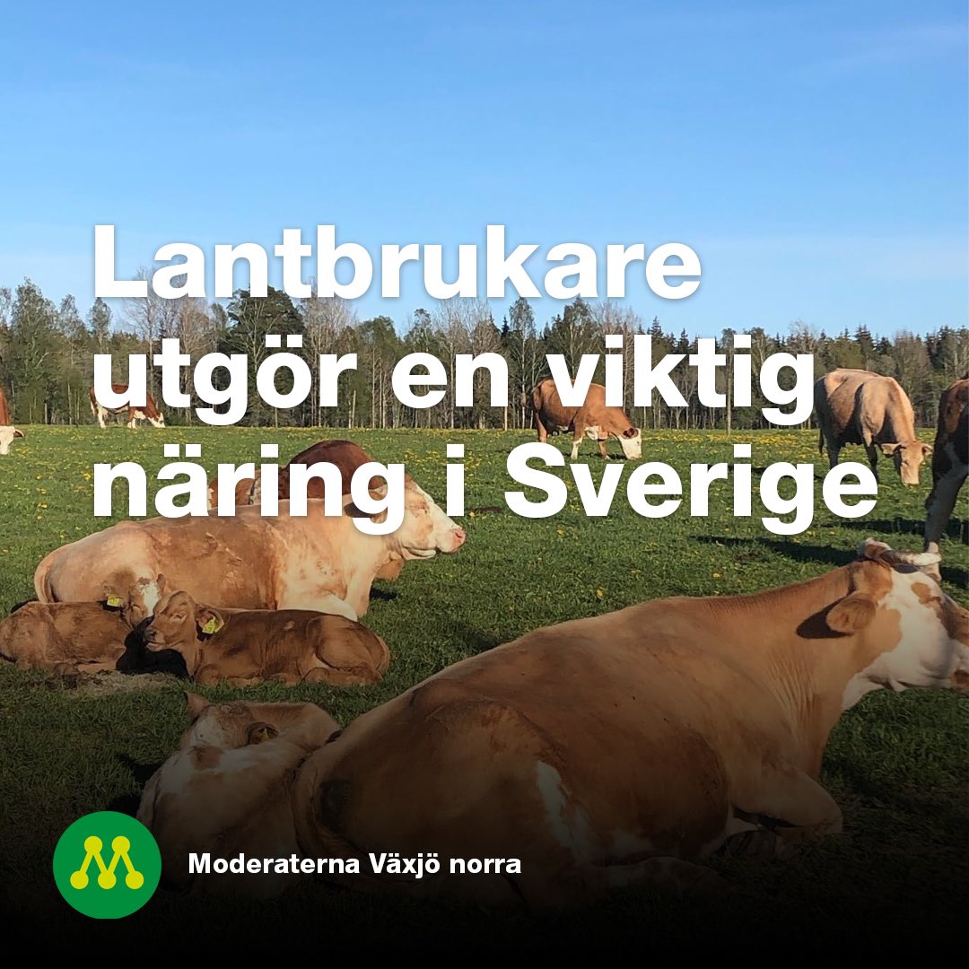 I januari månads sista söndag samlades Moderaterna i Växjö Norra till styrelsemöte och digitalt studiebesök. Denna gång träffade vi Viveka Fransson som sedan snart 30 år driver Kronobergs Kungsgård.
#växjö 
vaxjomoderaterna.se/studiebesok-ho…
