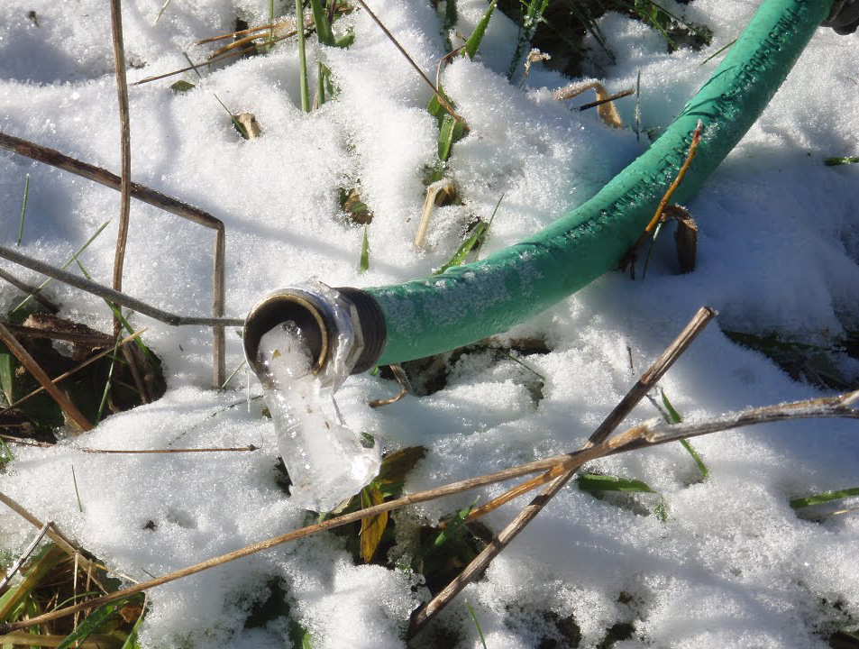 TheCurrent's tweet photo. Monday means #AnswerToLooch! This week, Mary Lucia wants to know:
"Would you rather eat a bowl of hot mayonnaise or get clocked with a frozen garden hose?"
Reply in the thread below, then listen at 5 p.m. CST when Mary reads your responses on air.
(Mayo 📷: Jules Clancy) https://t.co/BgDHWClTzF