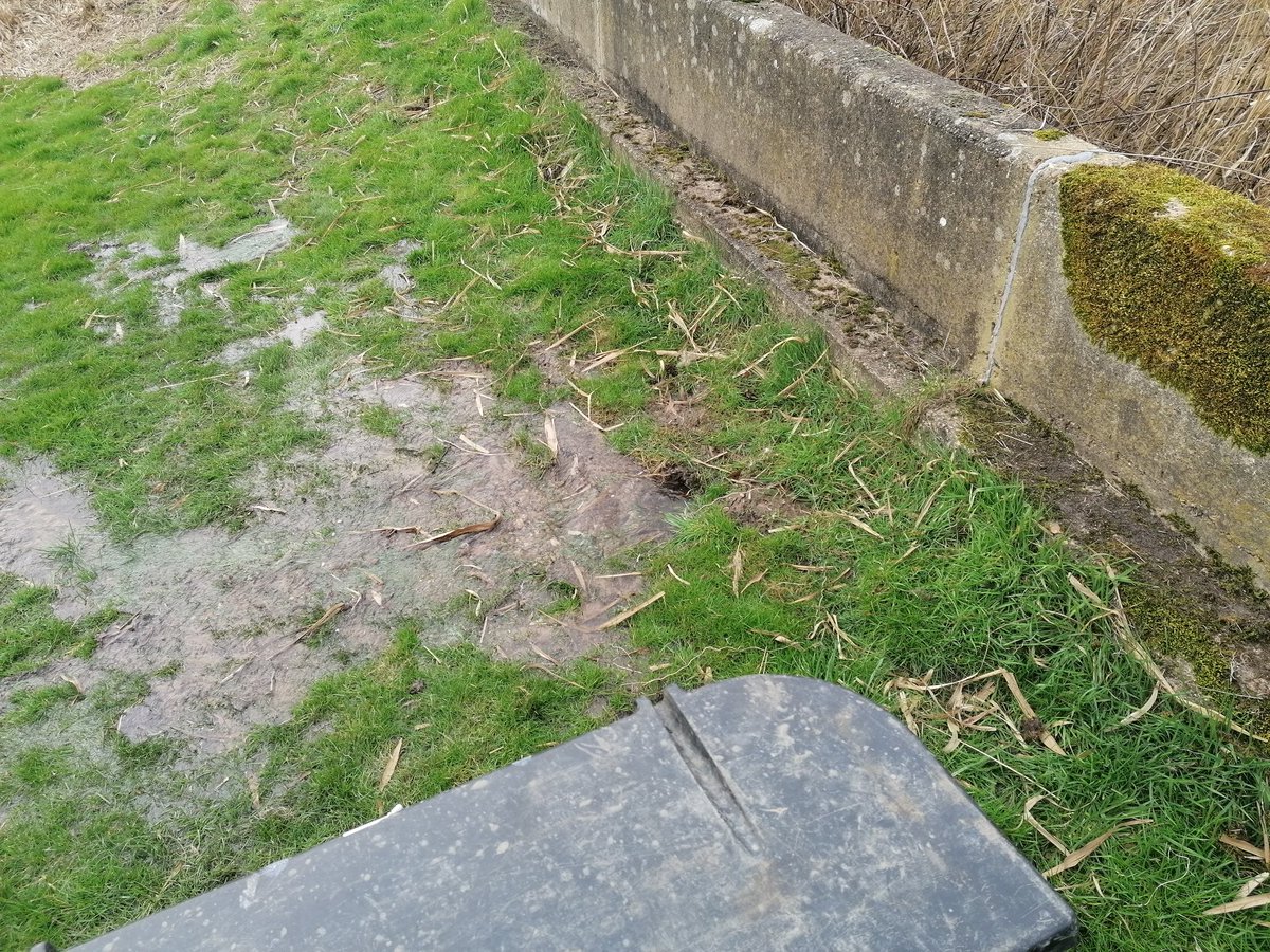 Our livestock manager, Sam, has been out checking the waveney river wall which borders our marshland. There's been flooding both up and down the river but apart from 1 small leak it all seems to be holding 🤞. Footdrains nicely full for the wading birds aswell.👍 #marshland