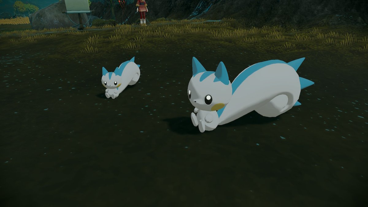 GalaxyChild2's tweet photo. #PokemonLegendsArceus #NintendoSwitch https://t.co/L1jHYTwTAQ