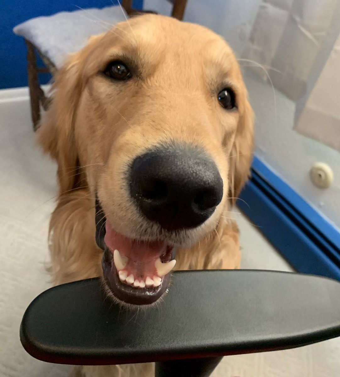 JordanTrader's tweet image. Happy Monday y’all!  #PushTheTempo