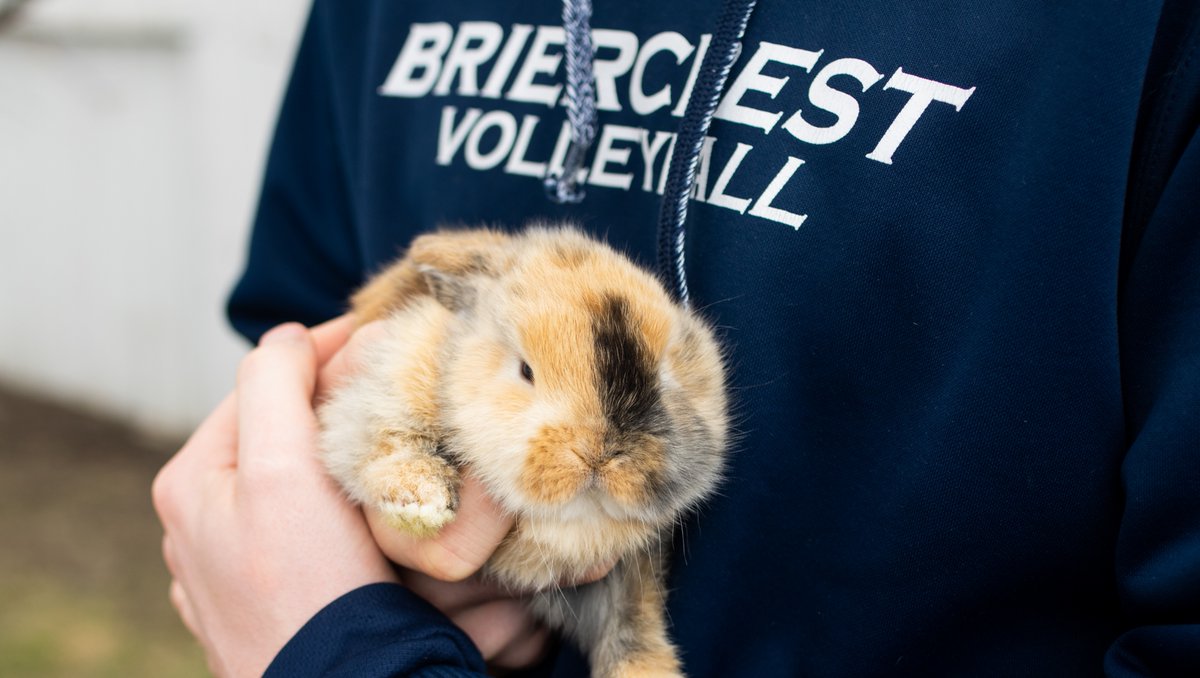 Briercrest's tweet photo. Happy Monday! Here is an adorable bunny photo to start your week off right ๐ฅฐ
#Briercrest #StudentLife #GoBriercrest https://t.co/UnVNQIWjEm
