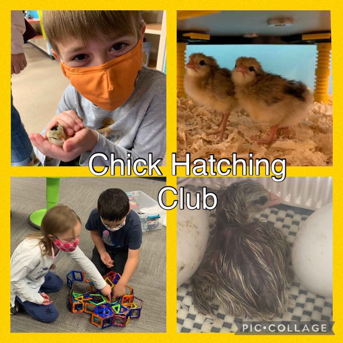 Swanson Colts tweet media