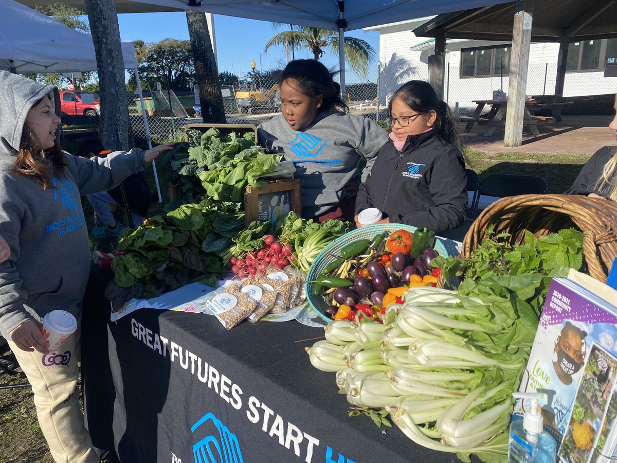 bgcmartincounty's tweet photo. This past Sunday in Historic Downtown Stuart, #BGCMC participated in the Stuart Main Street Green Market, Market on Main. Club members and staff set up and stocked a market stand with fruit, vegetables, and herbs that they've grown in Club gardens over the past several months. https://t.co/7CW1M7Xtgi