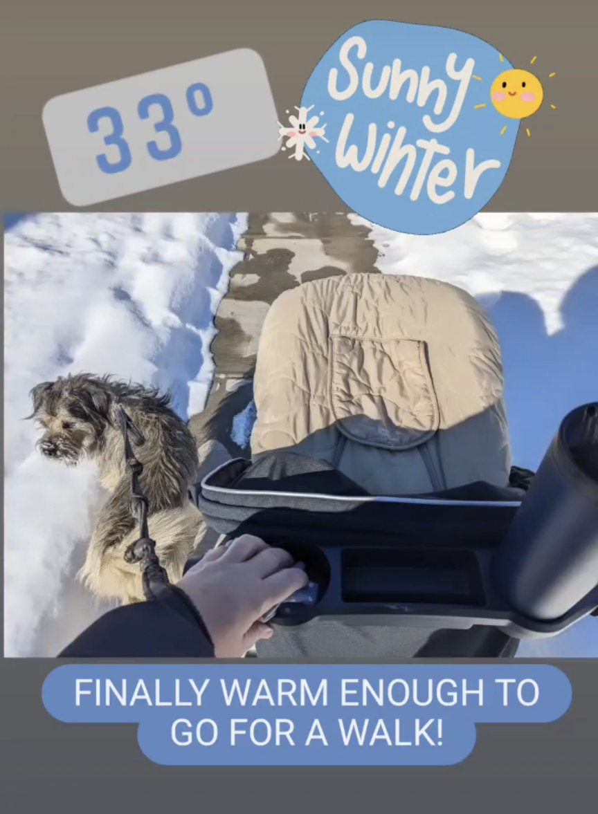 Danielle Guiffre tweet media