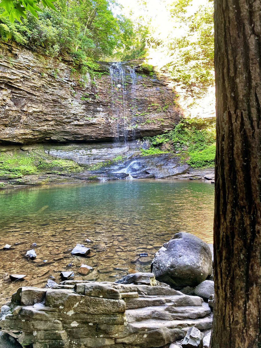Cherokee Falls, Cloudland Canyon State Park, TN is full of breathtaking beauty around every corner.
<a href="/tnhiking/">Eric</a> <a href="/msr_gear/">MSR.GEAR</a> @rei @cloudland_canyon_state_park @ospreypacks Smartwool] <a href="/hoka/">HOKA</a> <a href="/hokafans/">Hokafans</a> <a href="/hikingtheglobe/">Juraj Betak</a> <a href="/hikingbangers/">hikingbangers</a> <a href="/outdoors/">Outdoors</a> <a href="/outdoors/">Outdoors</a>y <a href="/outsidemagazine/">Outside Magazine</a> @outdoors