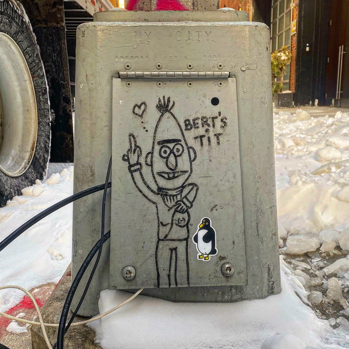 Stukuls's tweet photo. Bird and Bert watching in NYC. @specialsquid #bertstit #birdwatching #Penguins #nyc #graffiti https://t.co/9Gp7xpDtTt