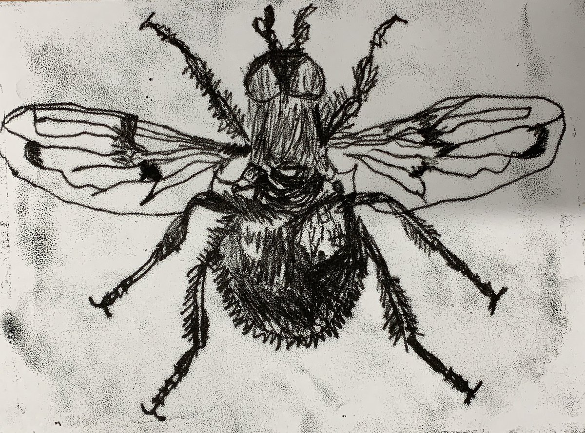 Some really beautiful mark making in these insect monoprints by my Y7 class today.