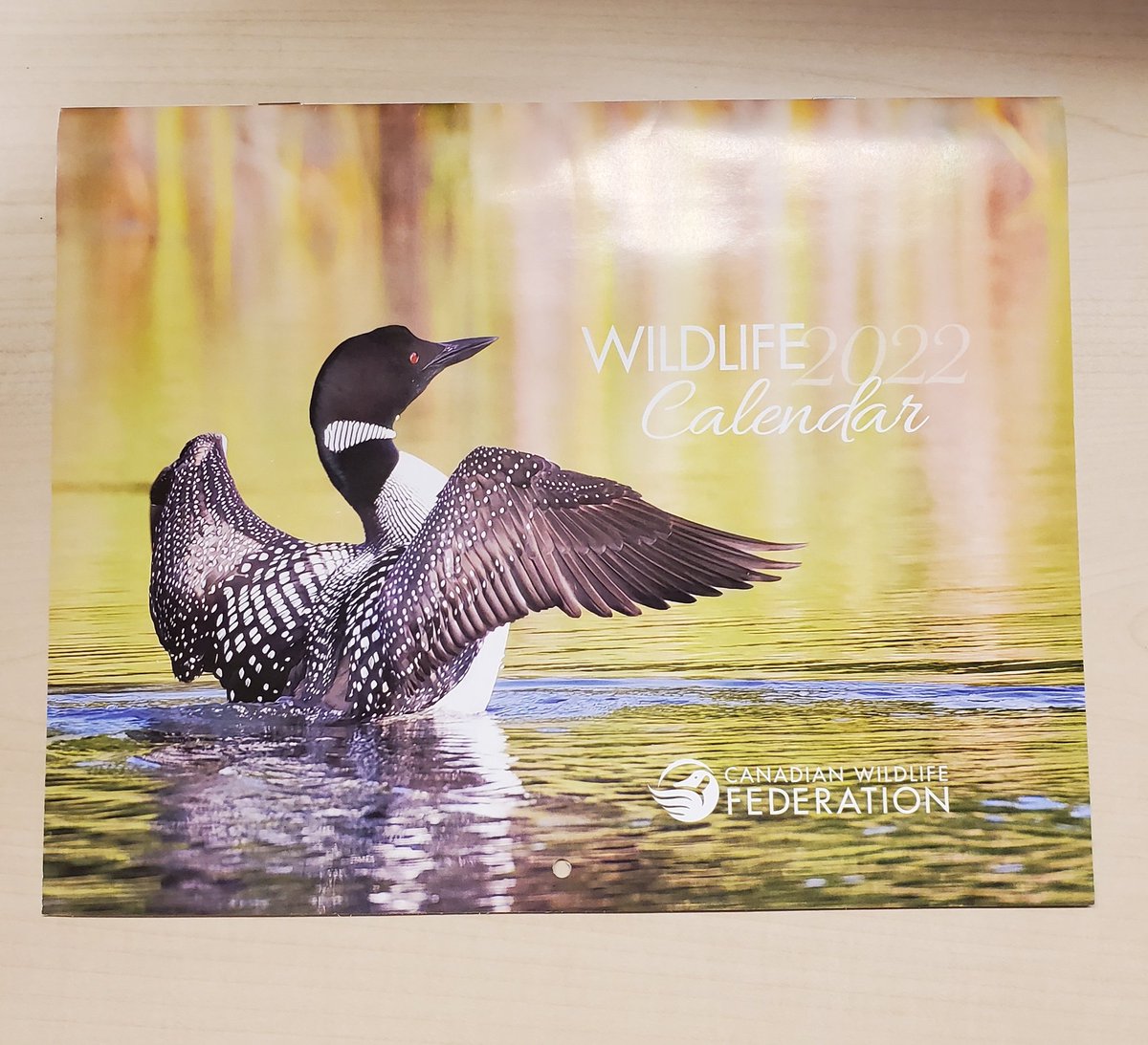 mchln86's tweet photo. Thank you @CWF_FCF for this gorgeous #calendar2022 full of vivid photos and fun facts about Canadian creatures, and the inspiring work of your organization #domoreforwildlife https://t.co/K0QfM2JxNo