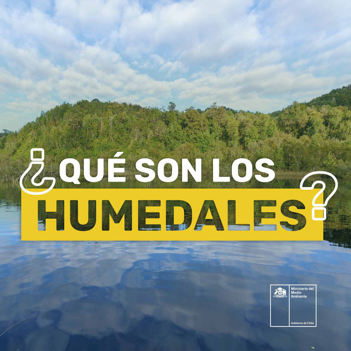 MMAChile's tweet photo. El 2 de febrero es el Día internacional de los #humedales. Éstos son ecosistemas muy importantes para la conservación de la naturaleza👇 https://t.co/UX4ziCUM45