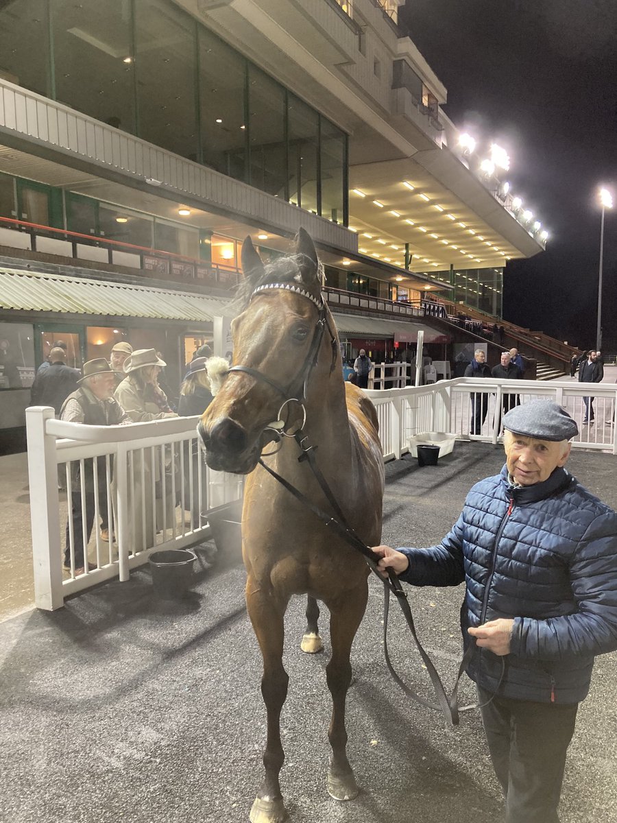 After what seemed like a life time Tributo dead heats ⁦@WolvesRaces⁩ for ⁦@WilliamsStuart ⁦@OpThoroughbreds⁩ ⁦@linusghiani99⁩ teamdiomed winners