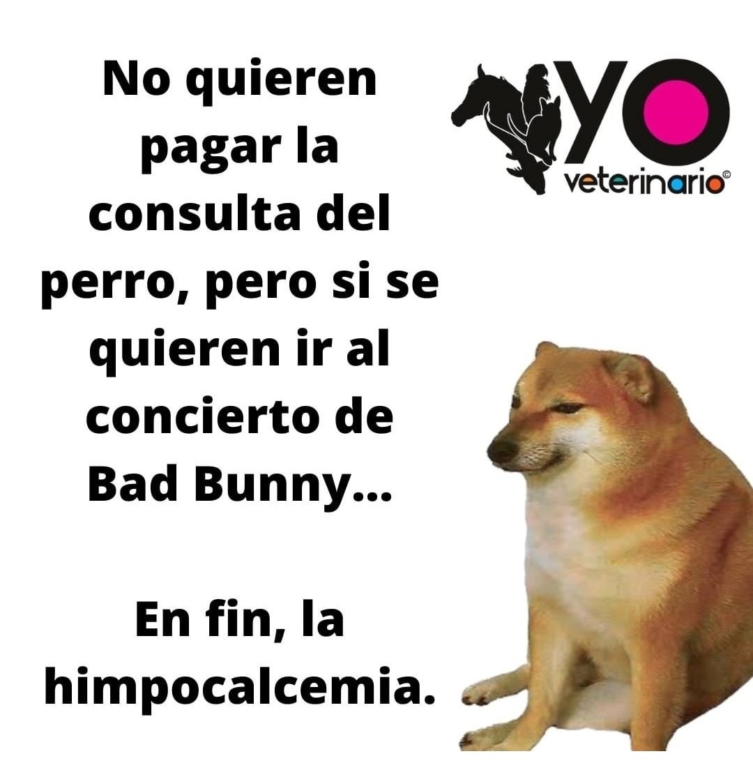 mvmasa's tweet photo. En fin, la hipocalcemia..... Jajajaja https://t.co/yZFpDAAUYO