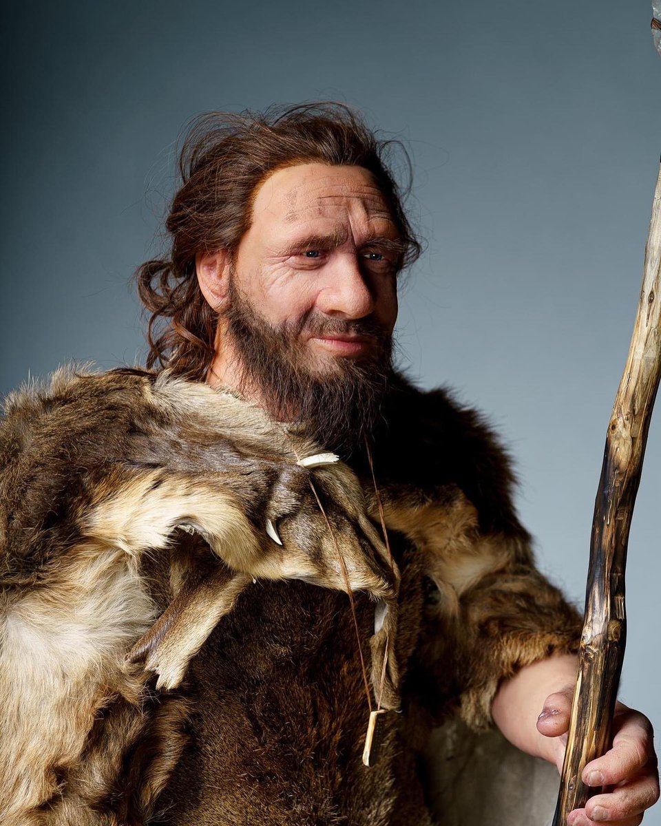 SmoothOn's tweet photo. Kamyk Paleo Models brings this model of Homo Neanderthalensis to life using Body Double™, Dragon Skin™, Silc Pig™ and Psycho Paint™!

#smoothon #smoothonproducts #silicone #moldmaking #casting #paleomodels #museumfabrication #homoneanderthalensis #museum #prehistory https://t.co/hpeodsm6GV