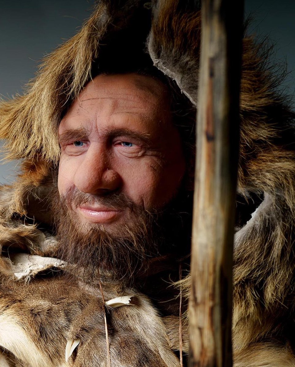 SmoothOn's tweet photo. Kamyk Paleo Models brings this model of Homo Neanderthalensis to life using Body Double™, Dragon Skin™, Silc Pig™ and Psycho Paint™!

#smoothon #smoothonproducts #silicone #moldmaking #casting #paleomodels #museumfabrication #homoneanderthalensis #museum #prehistory https://t.co/hpeodsm6GV