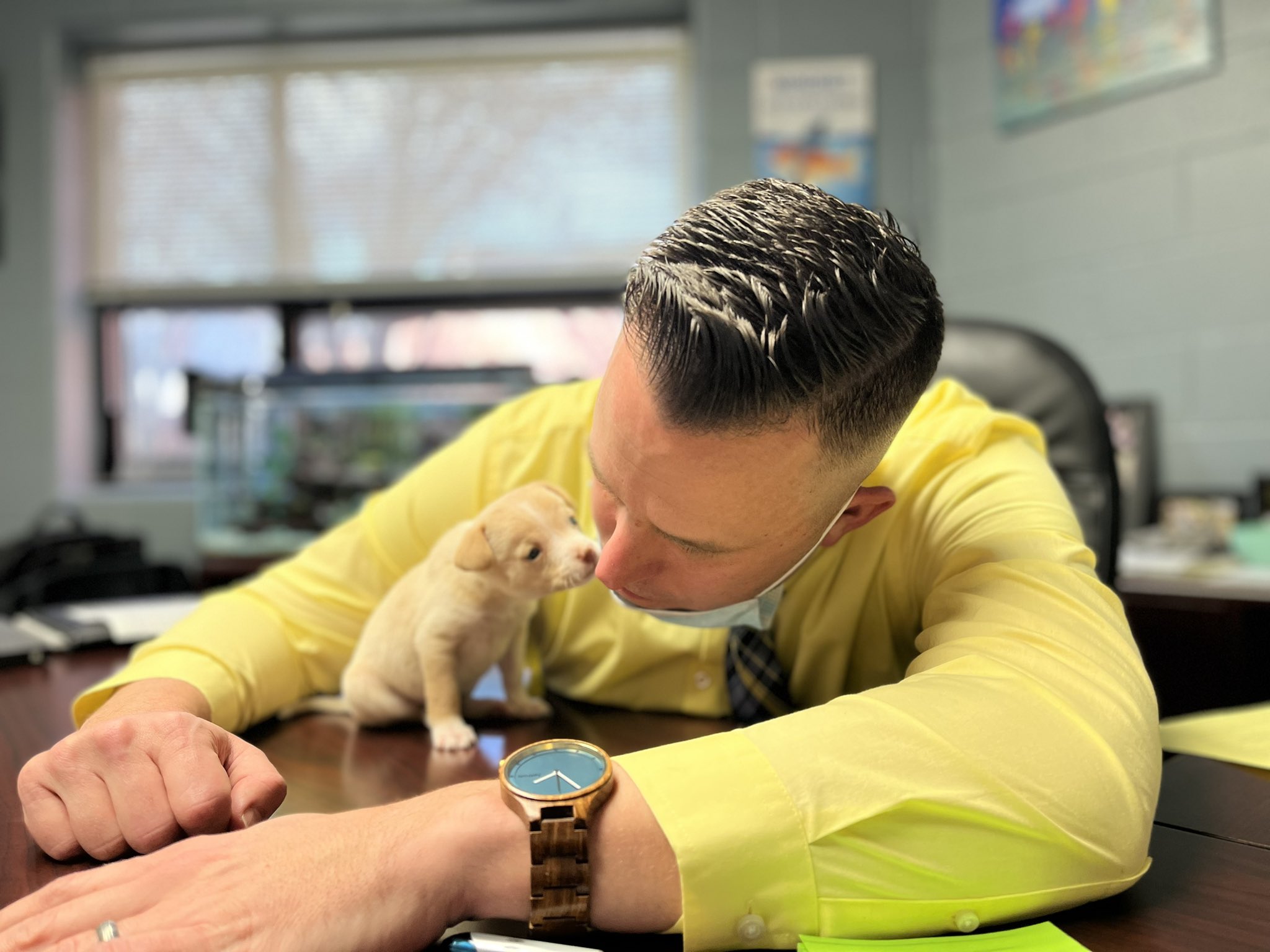 FKdOU7AVkAI3U-N.jpg:large