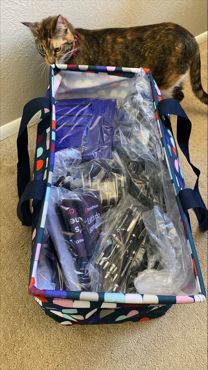 My "teacher bag" has been repurposed as my <a href="/Promethean/">Promethean</a> "swag bag" and the kitten approves! #Promethean #LearnPromethean @LearnPromethean
