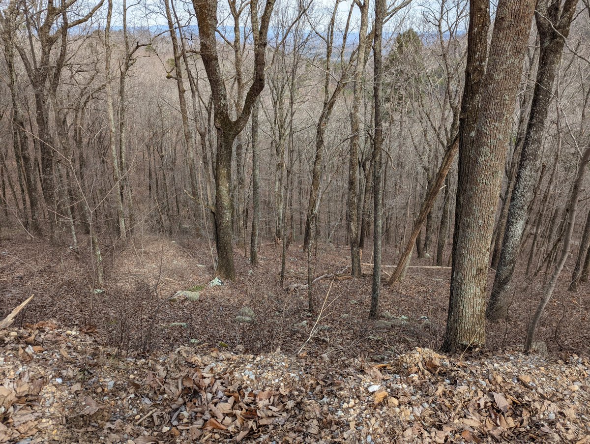 Pat_The_Bald's tweet photo. #hiking #exploreGA #pinhoti #pinhotitrail https://t.co/6Ed0XywPrS