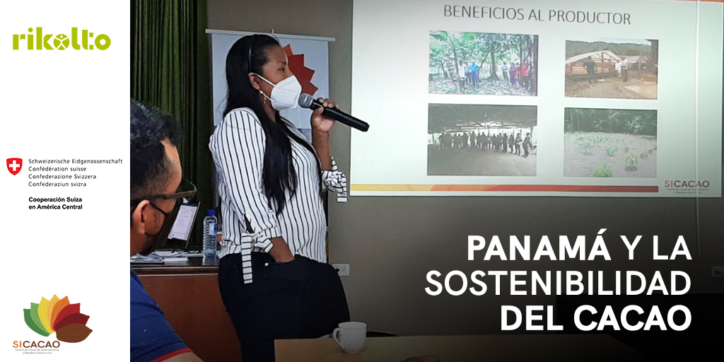 SICACAO1's tweet photo. La Cooperativa de S/M Cacao Bocatoreña R.L #COCABO es la primera cooperativa agrícola de #Panamá fundada en 1952. Se dedica al acopio y comercialización del cacao en grano seco para exportación dice Maira Santos Serrano, presidenta de la cooperativa. Más https://t.co/5gMEE1wSx6 https://t.co/tBuVg3EVxg