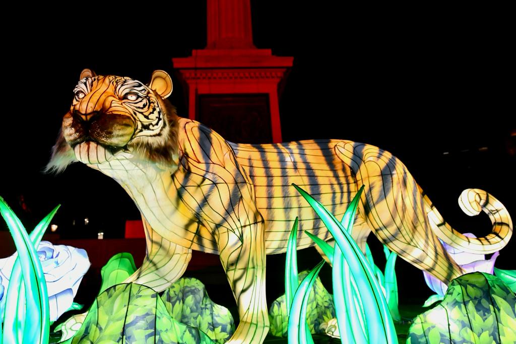 MayorofLondon's tweet photo. Fantastic to see Trafalgar Square lit up to mark the beginning of Lunar New Year tomorrow.
 
Wishing everyone celebrating a very happy year of the Tiger! #LunarNewYear https://t.co/G0aXlRNYpf