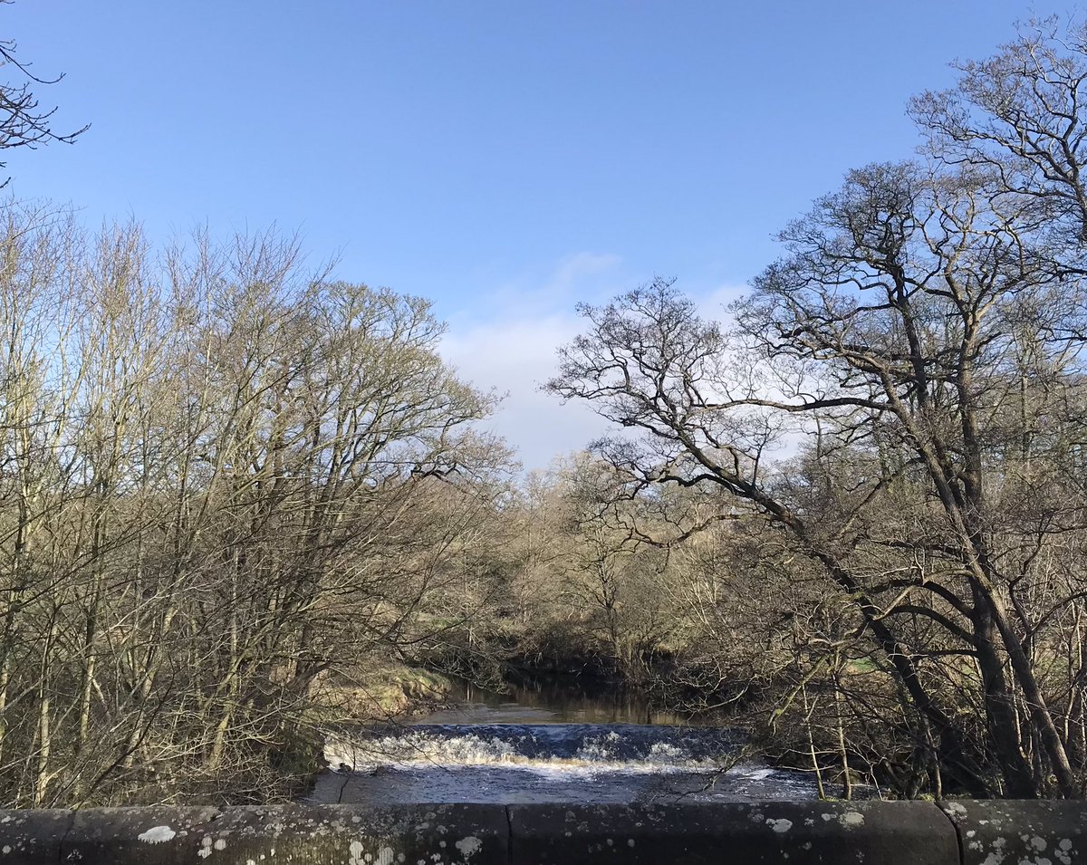 belviderefondo's tweet photo. Spring is on its way - blue sky &amp; sunshine https://t.co/96mKG3eCzM