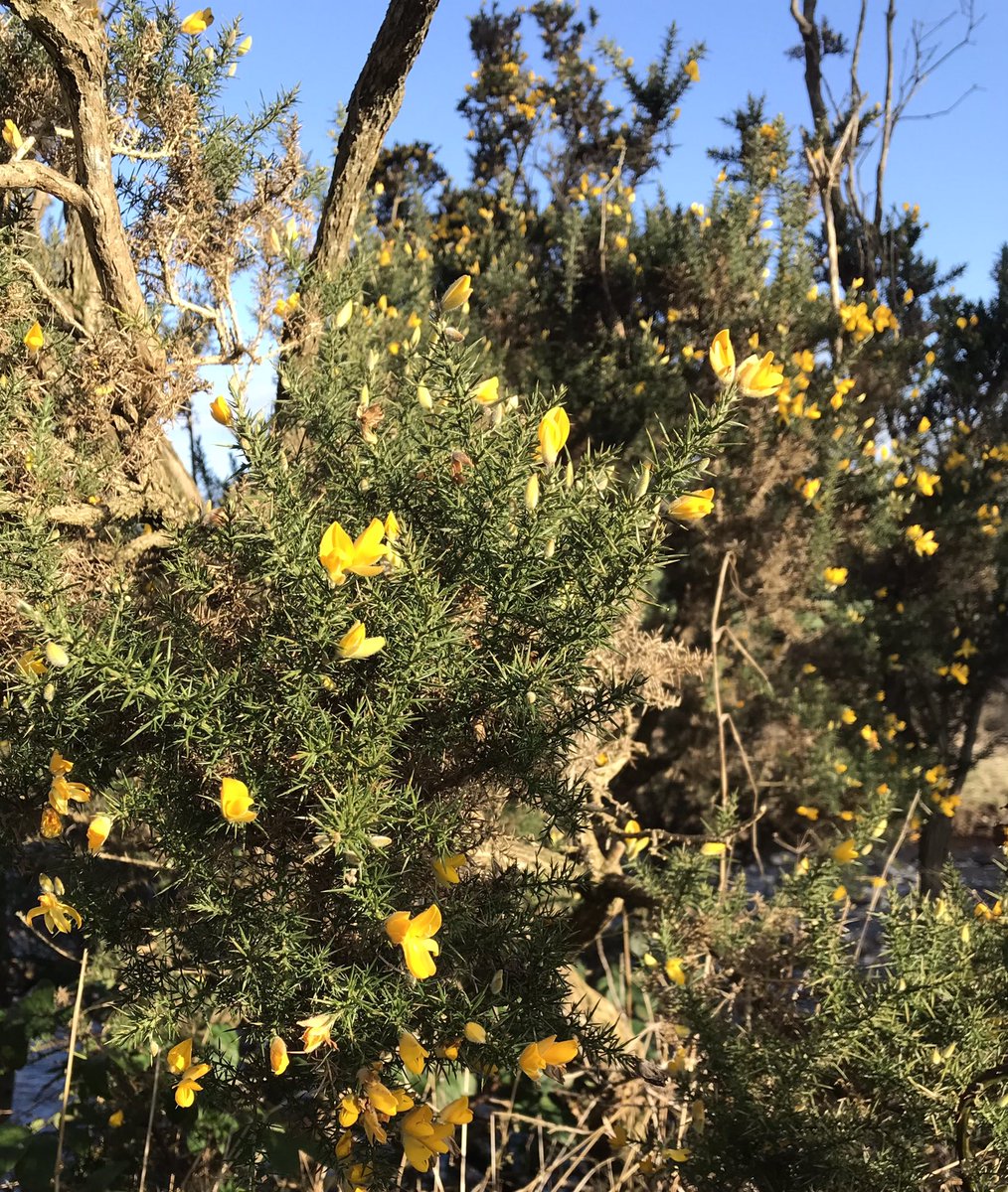 belviderefondo's tweet photo. Spring is on its way - blue sky &amp; sunshine https://t.co/96mKG3eCzM