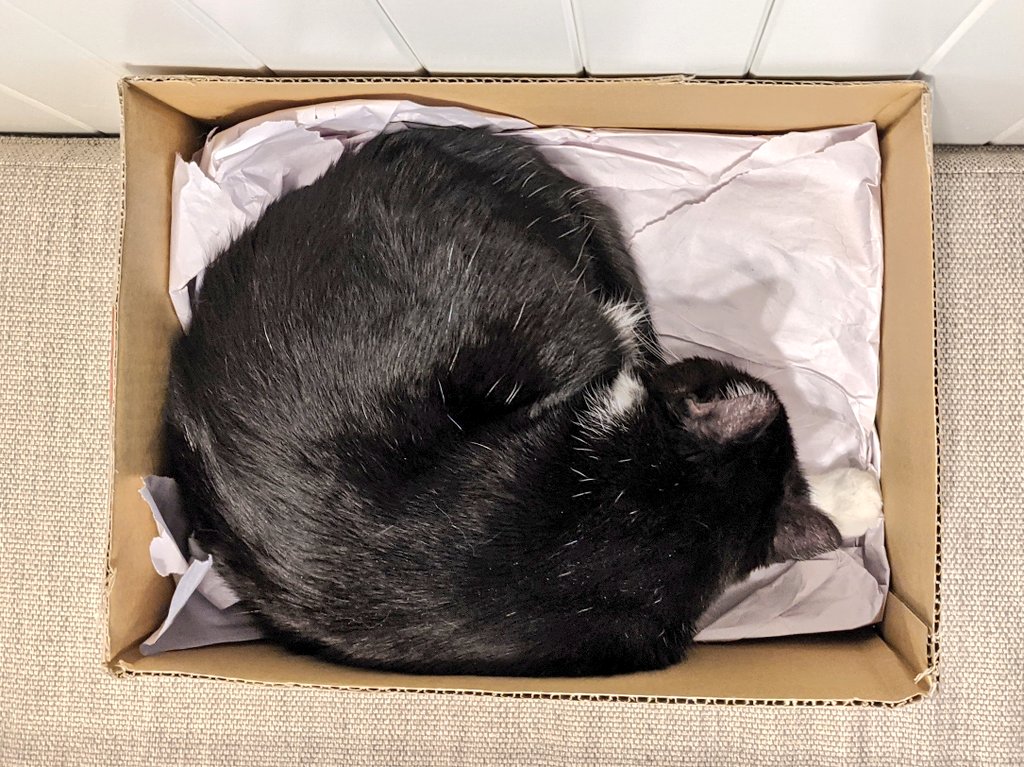 matttwood's tweet photo. The Box is popular. https://t.co/68Jf8AYTGv