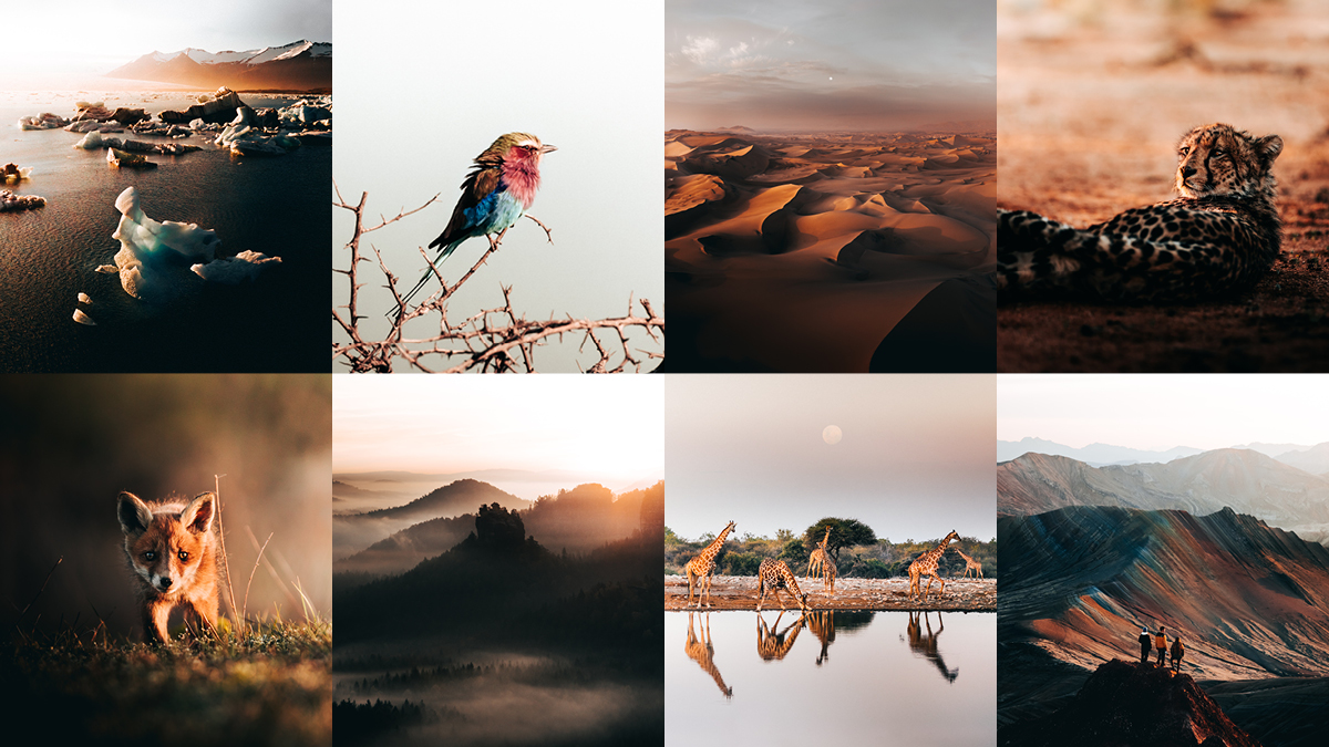 fredeschindler's tweet image. Hello Twitter world. It’s my first day here. So let me introduce myself. 

My name is Frederik Schindler. I love to create still- and moving images - for more than a decade now. It ́s always my goal to tell a compelling story, create a unique imagery and discover special moments.