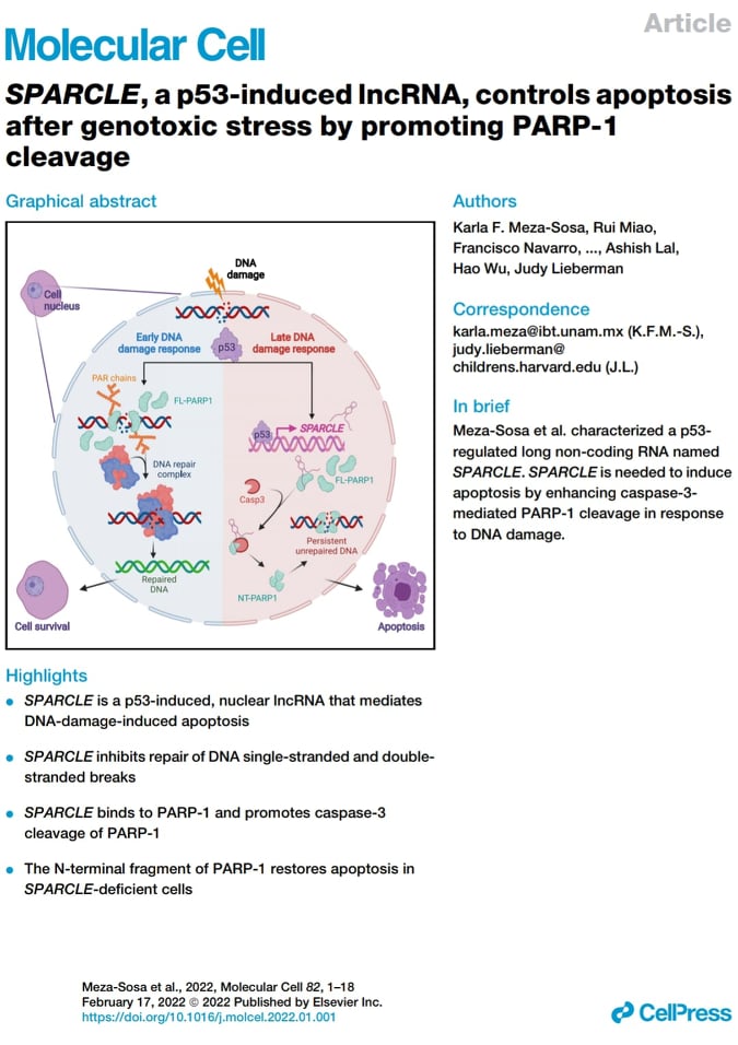Karla F. Meza-Sosa tweet media