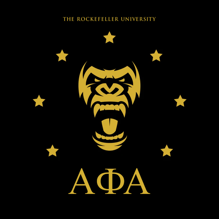 rockefellerRPBR's tweet photo. Alpha Phi Alpha — ΑΦΑ
Apelido: Alpha 
Cores: Dourado e Preto
Símbolo: Gorila 🦍

📌https://t.co/X10vyevYVH https://t.co/LJbQODc258