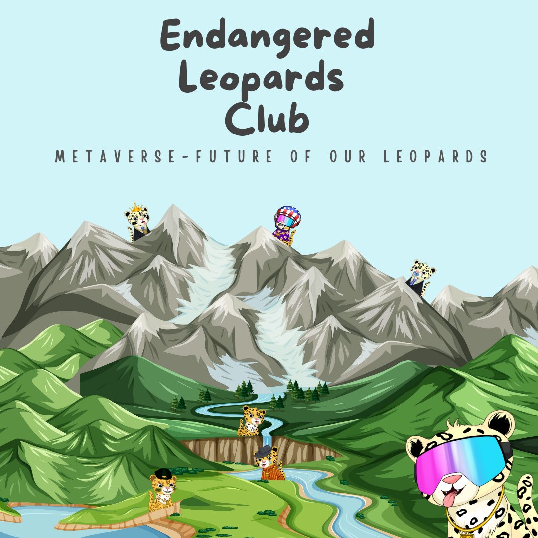 Endangered Leopards Club (ELC) tweet media