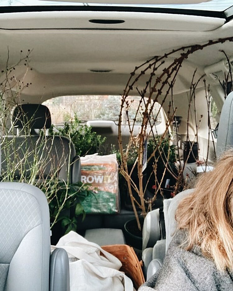 Livingroom Landscape tweet media