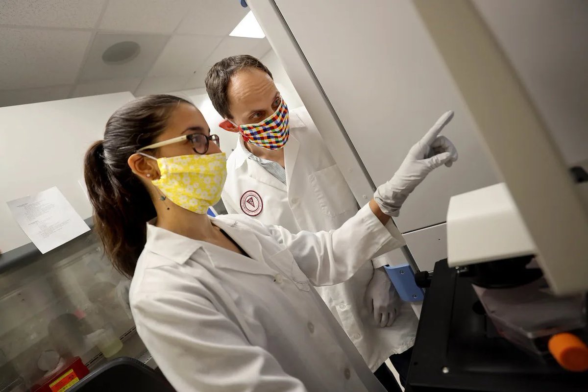 OnionVT's tweet image. Virginia Tech Reverses Vaccination Requirement In An Effort To Start World’s First Human Natural Selection Research Study