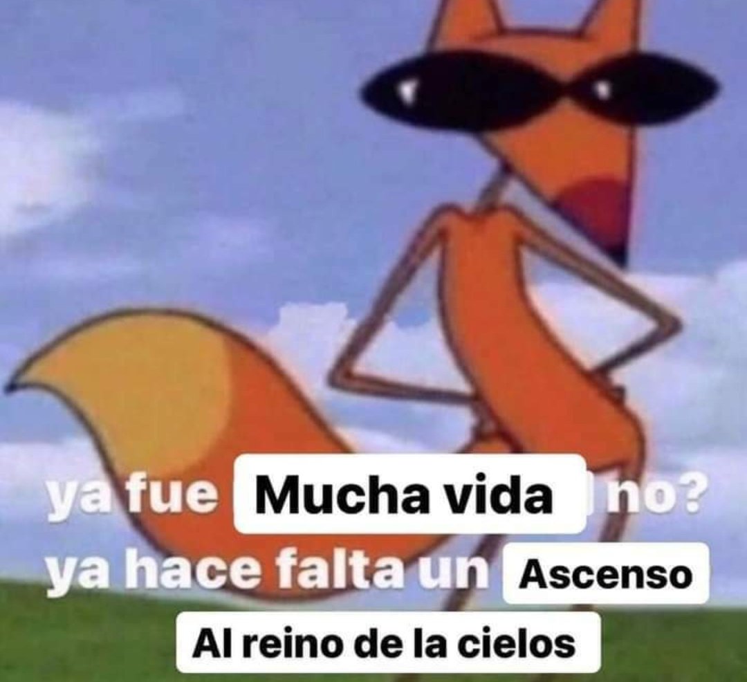 memes feos yo qué sé (@memefeos) on Twitter photo 